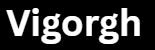 vigorgh.shop